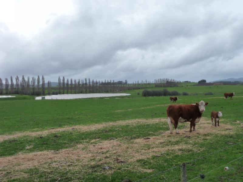 530 Black Lane, Quamby Bend, Hagley TAS 7292