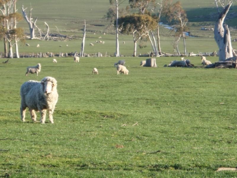 307 Kheme Road, Lemont TAS 7120