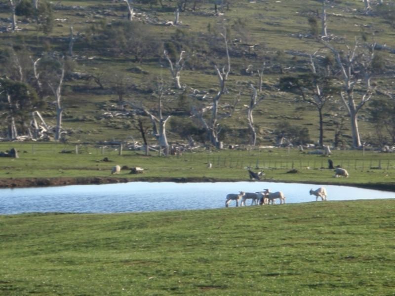 307 Kheme Road, Lemont TAS 7120