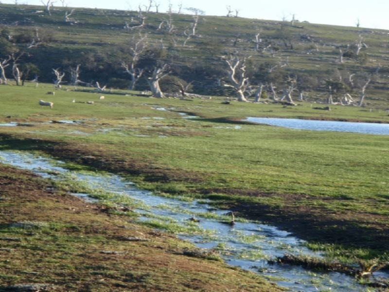 307 Kheme Road, Lemont TAS 7120