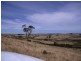 225 White Hills Road, White Hills TAS 7258