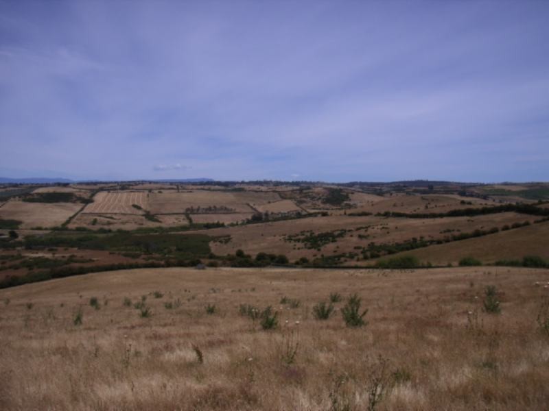 225 White Hills Road, White Hills TAS 7258