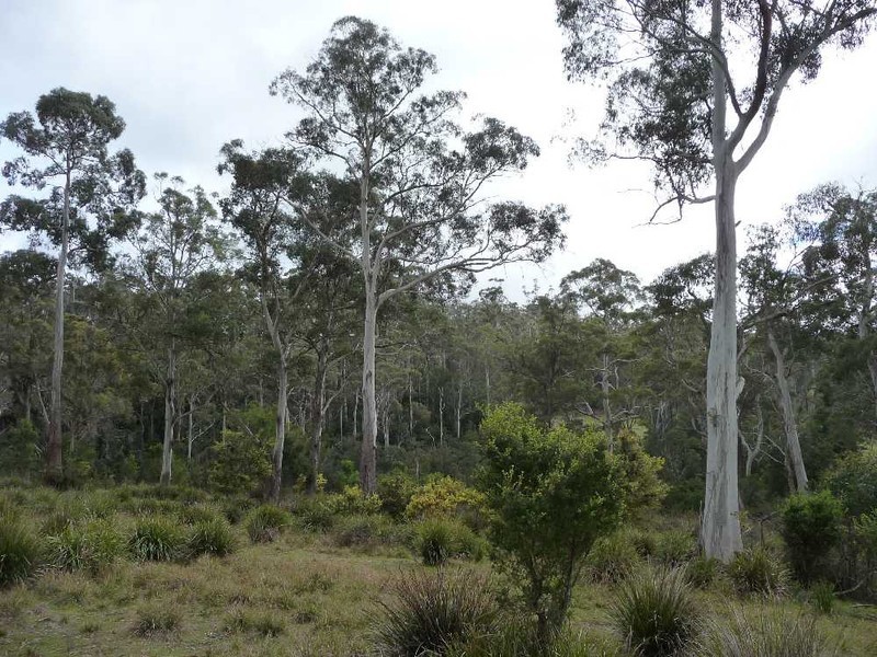 55 Dalrymple Road, Mount Direction TAS 7252