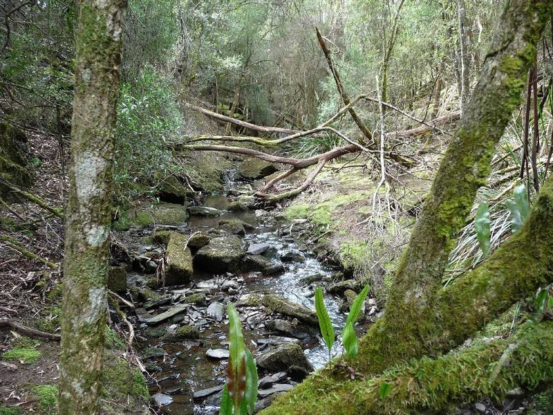 55 Dalrymple Road, Mount Direction TAS 7252