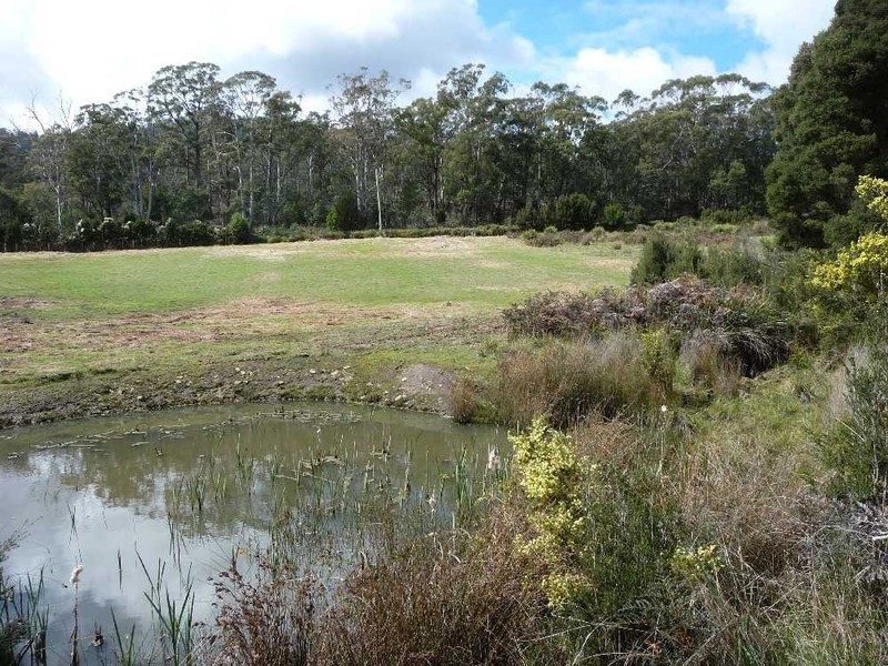 55 Dalrymple Road, Mount Direction TAS 7252