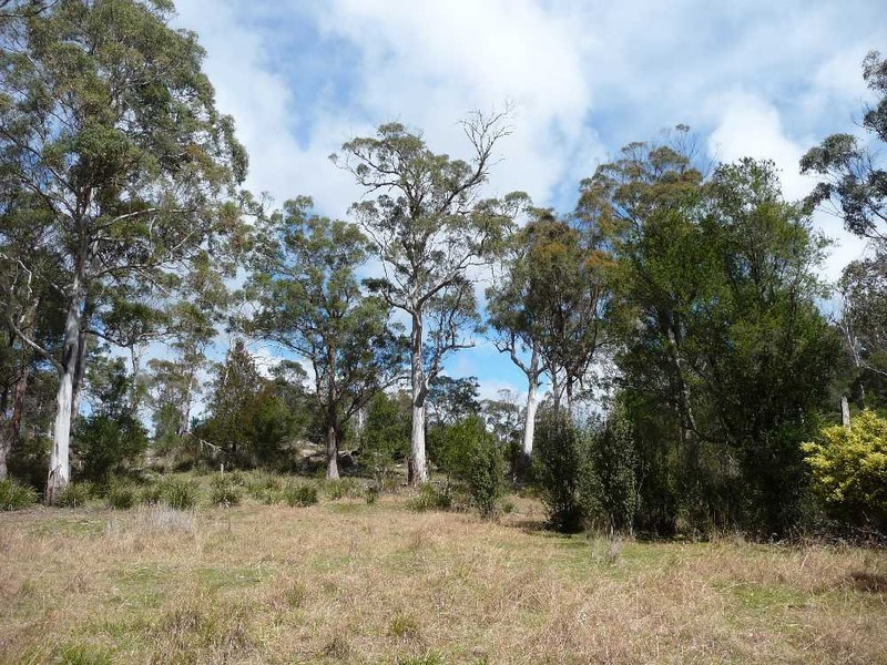 55 Dalrymple Road, Mount Direction TAS 7252