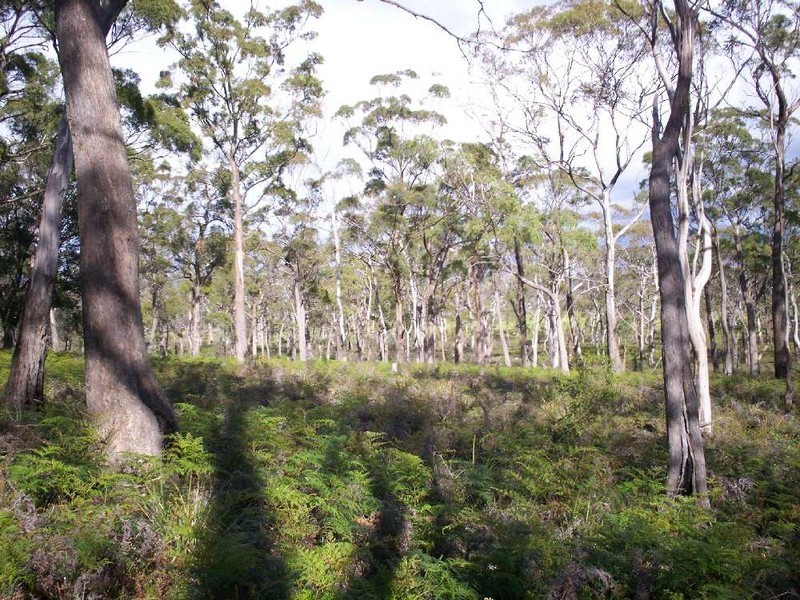 531 Old Forcett Road, Dodges Ferry TAS 7173