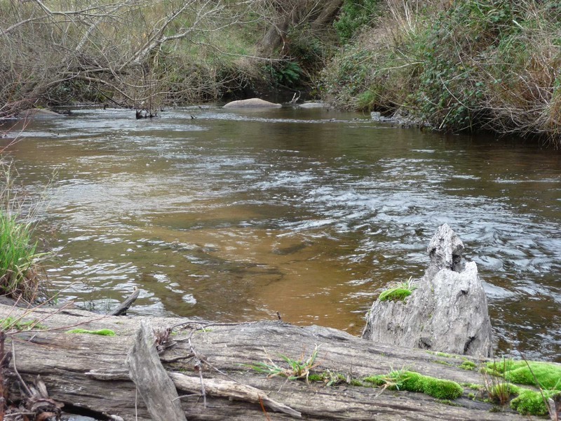 “St Columba” 395 St Columba Falls Road, Pyengana TAS 7216