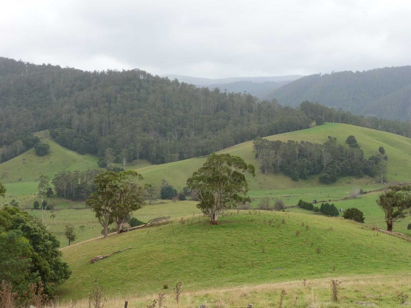 “St Columba” 395 St Columba Falls Road, Pyengana TAS 7216