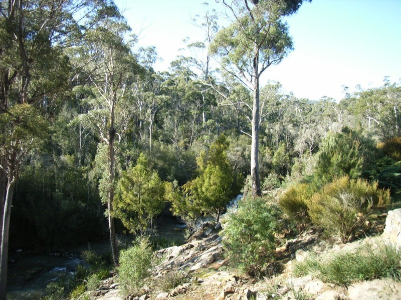 361 Pipers River Road, Turners Marsh TAS 7267