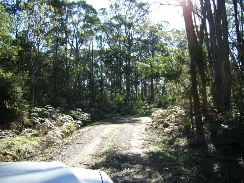 361 Pipers River Road, Turners Marsh TAS 7267