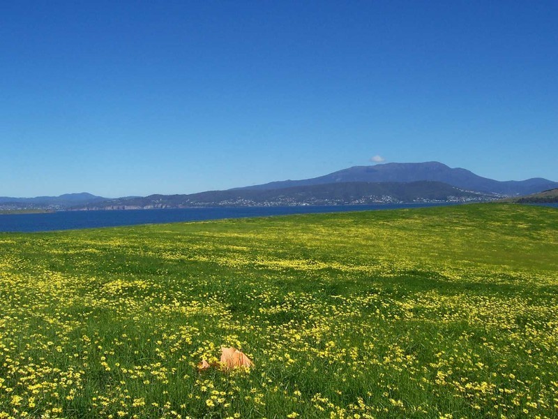 244 Dixon Point Road, Sandford TAS 7020