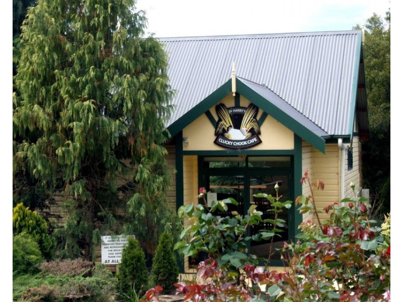 Arcadian Downs 699 Relbia Road, Relbia TAS 7258