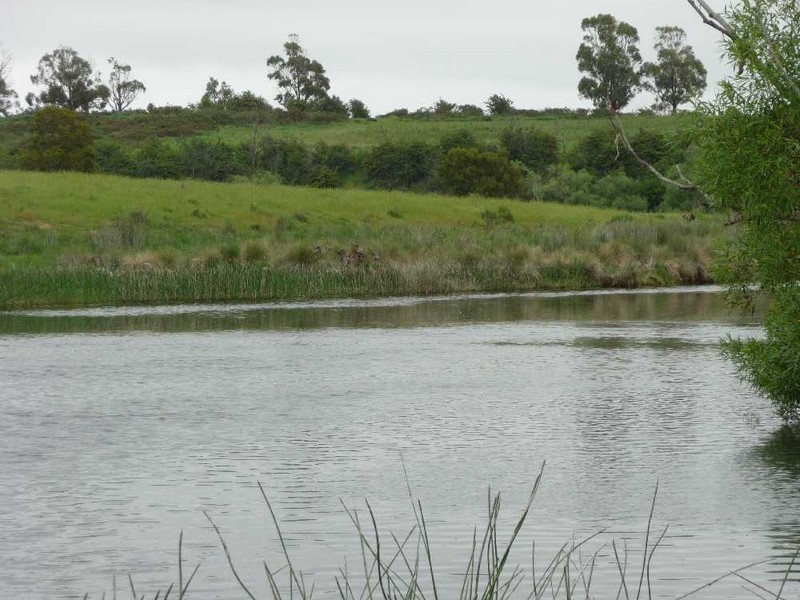 “Riverview” 84 Trafalgar Lane, Evandale TAS 7212