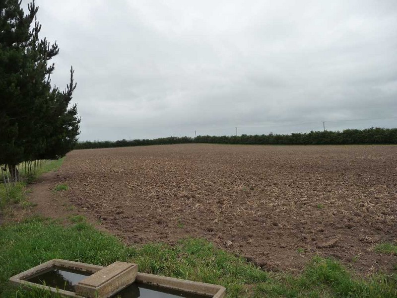 “Riverview” 84 Trafalgar Lane, Evandale TAS 7212