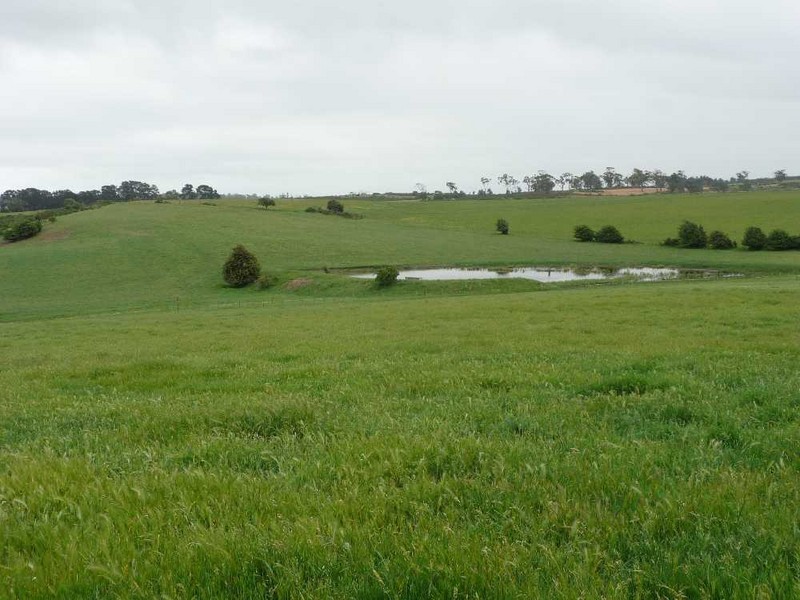 “Riverview” 84 Trafalgar Lane, Evandale TAS 7212