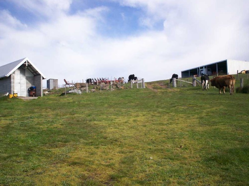 “Parmadale” 188 Tin Pot Marsh Road, Woodsdale TAS 7120