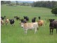 “Redland” 63 Red Road, Pipers River TAS 7252