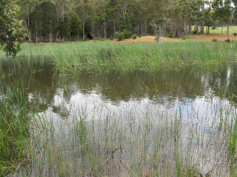 “Redland” 63 Red Road, Pipers River TAS 7252