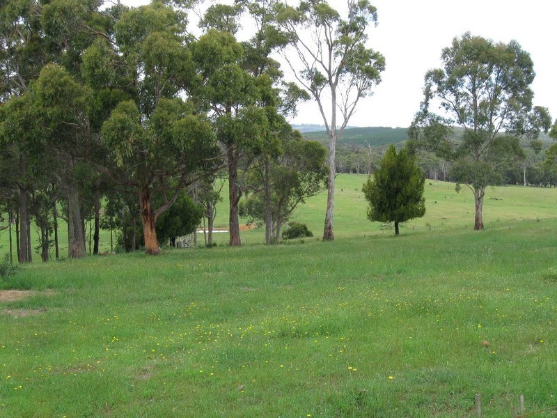 “Redland” 63 Red Road, Pipers River TAS 7252
