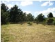 96 Conara Road, Conara TAS 7211
