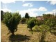 96 Conara Road, Conara TAS 7211