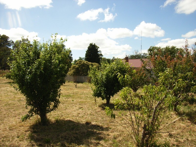 96 Conara Road, Conara TAS 7211