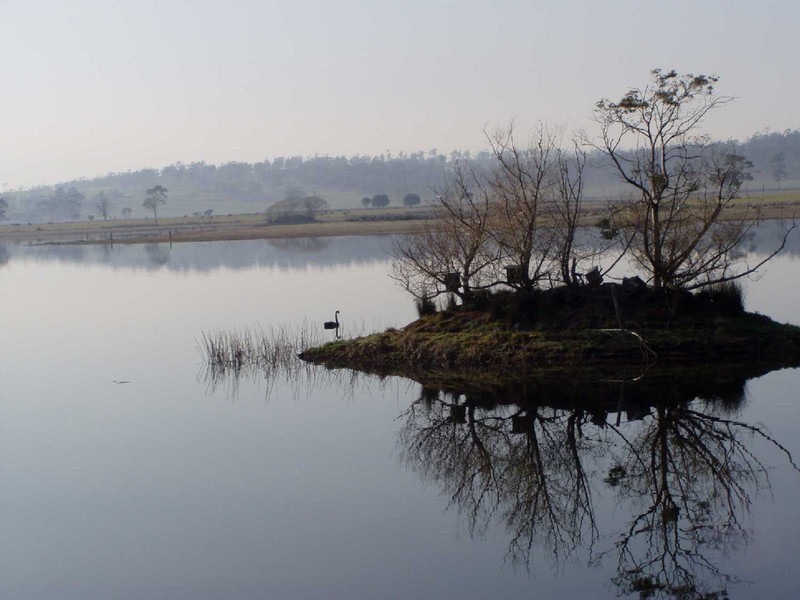 “Rostrevor”, Triabunna TAS 7190 the real estate agency Withdrawn