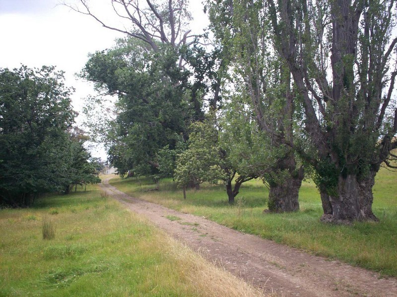 “Rostrevor”, Triabunna TAS 7190