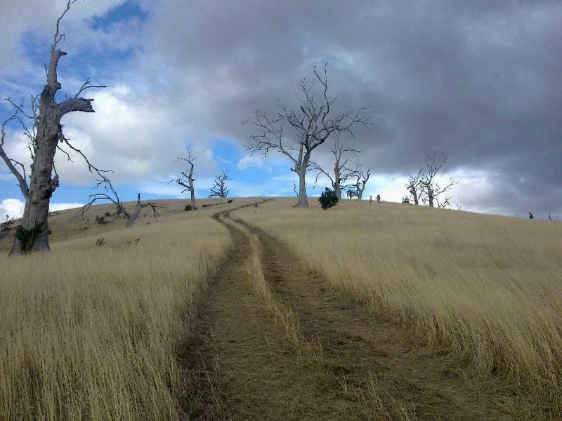 Nelsons Buildings Road, Brighton TAS 7030