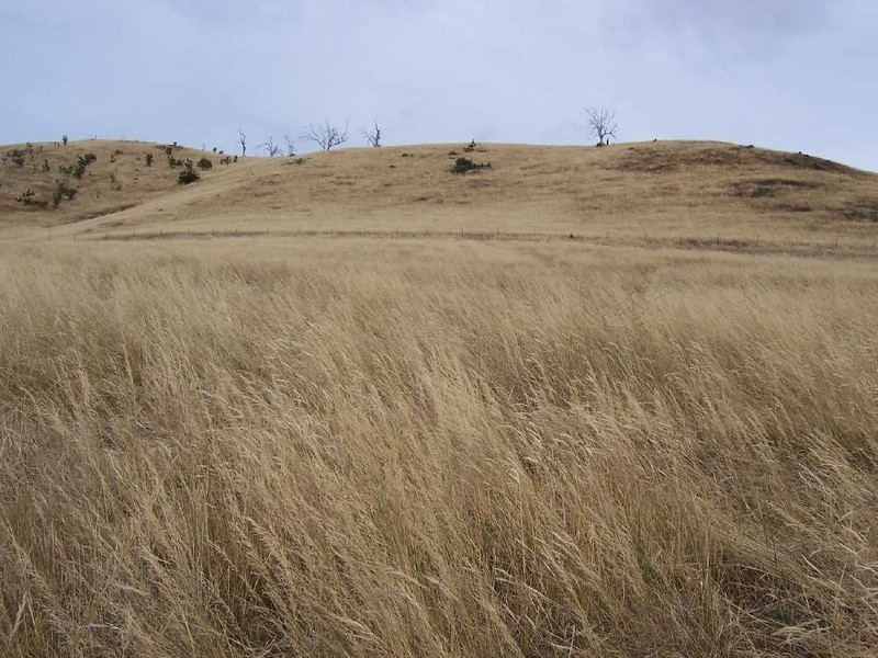 Nelsons Buildings Road, Brighton TAS 7030