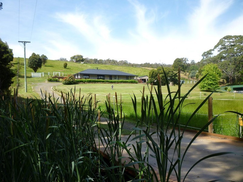48 Swan Drive, Swan Bay TAS 7252