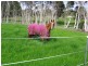 48 Swan Drive, Swan Bay TAS 7252