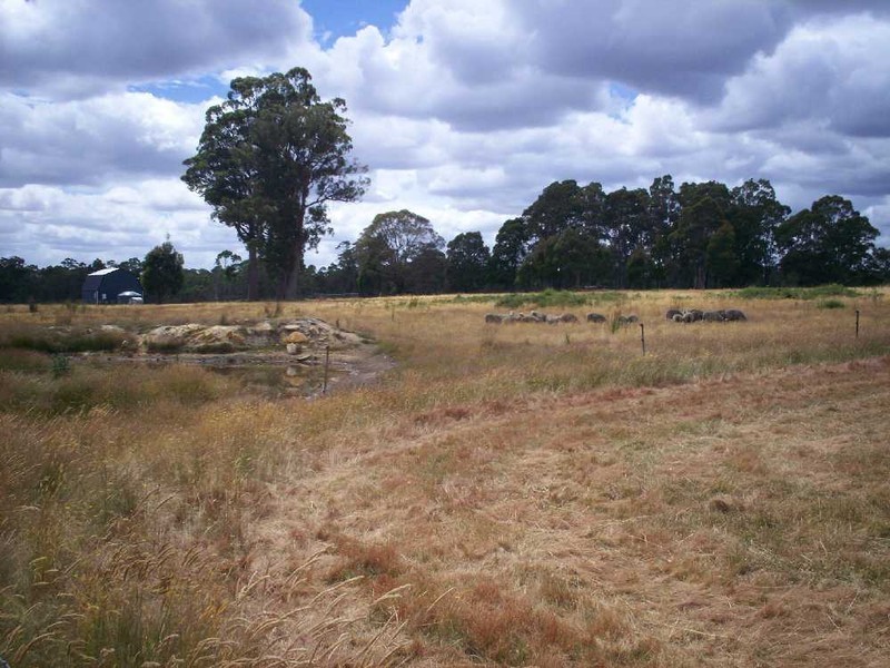 Osbornes Road, Rhyndaston TAS 7120