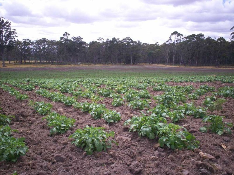 Osbornes Road, Rhyndaston TAS 7120