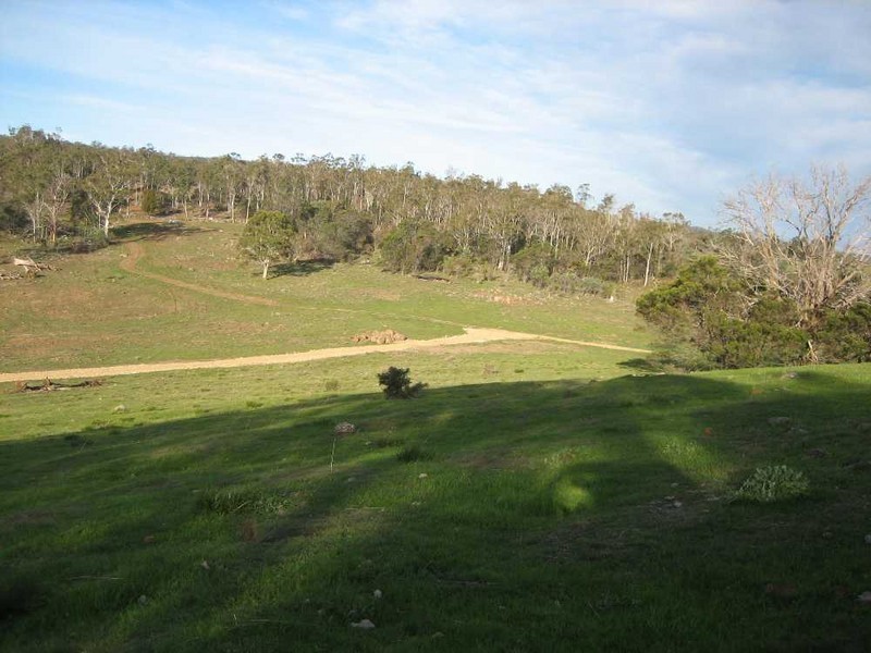 55 Castlemain Road, Ravenswood TAS 7250