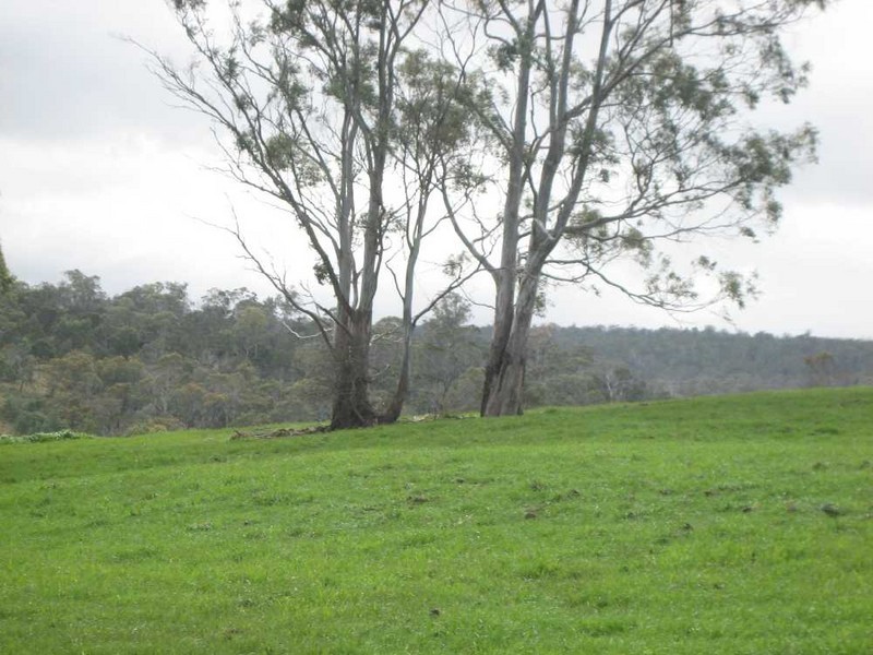 55 Castlemain Road, Ravenswood TAS 7250