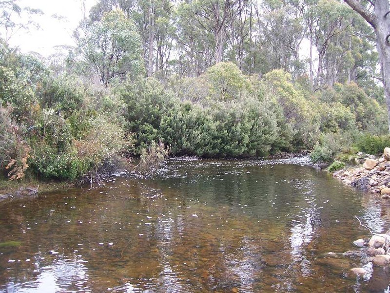 Central Highlands Retreat, Bronte Park TAS 7140