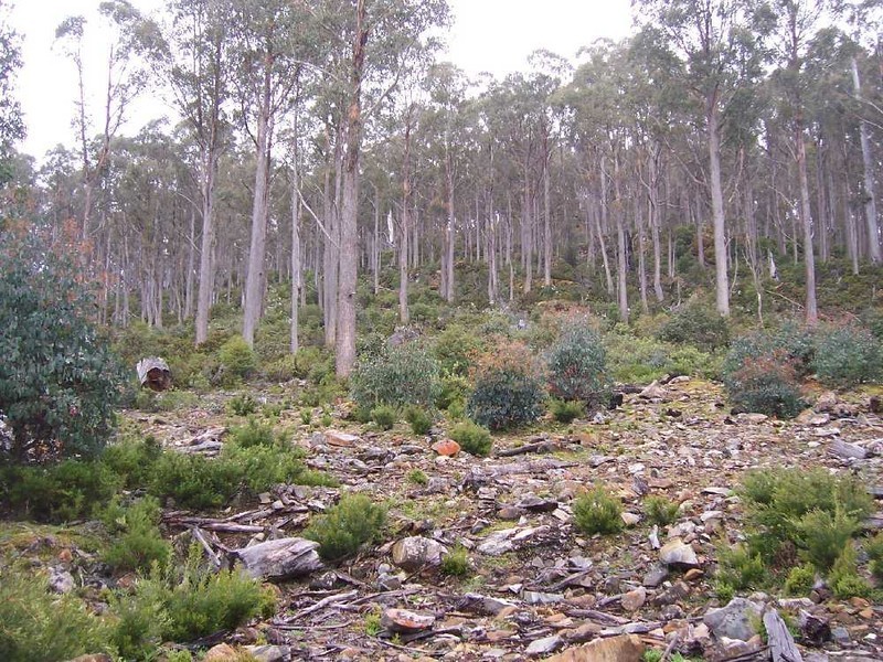 Central Highlands Retreat, Bronte Park TAS 7140