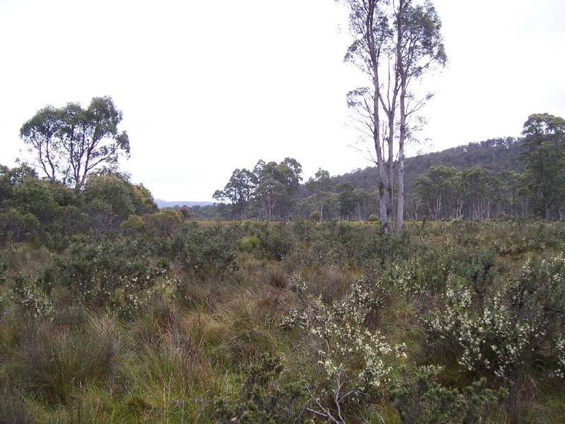 Central Highlands Retreat, Bronte Park TAS 7140