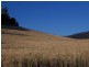 “Woodstock” 199 Williams Road, Tea Tree TAS 7017