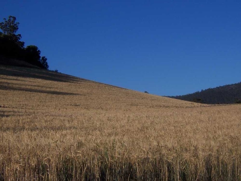 “Woodstock” 199 Williams Road, Tea Tree TAS 7017