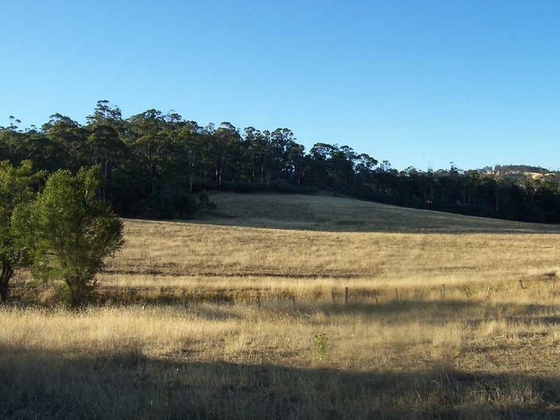 “Woodstock” 199 Williams Road, Tea Tree TAS 7017
