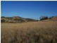“Woodstock” 199 Williams Road, Tea Tree TAS 7017