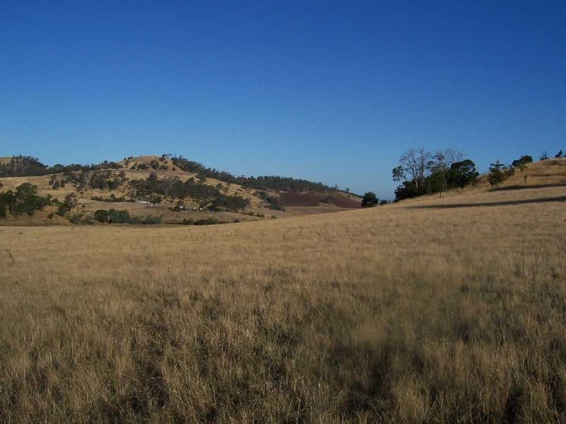 “Woodstock” 199 Williams Road, Tea Tree TAS 7017