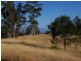 “Woodstock” 199 Williams Road, Tea Tree TAS 7017