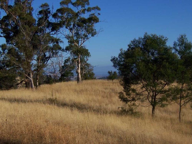 “Woodstock” 199 Williams Road, Tea Tree TAS 7017