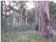 “Woodstock” 199 Williams Road, Tea Tree TAS 7017