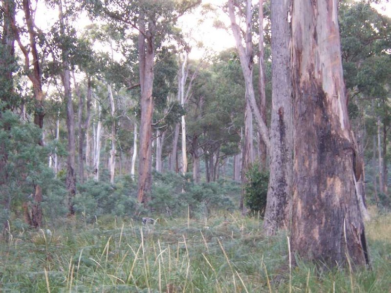“Woodstock” 199 Williams Road, Tea Tree TAS 7017
