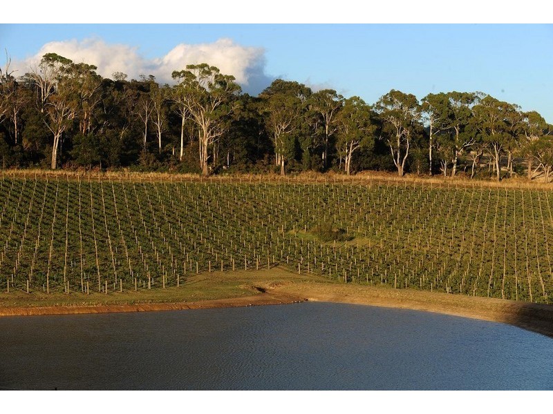 “Glen Laurus” 194 Relbia Road, Relbia TAS 7258